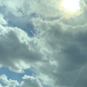 Meet your Posher, Rosy